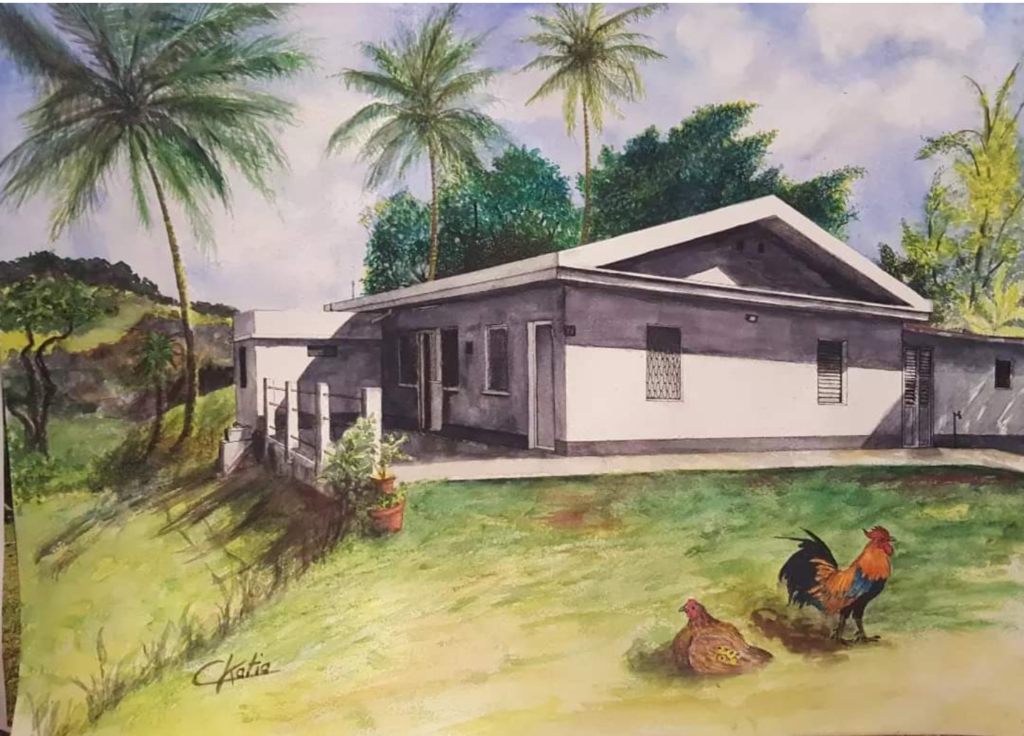 Maison de Martinique - encre et aquarelle sur papier 300g - 100€